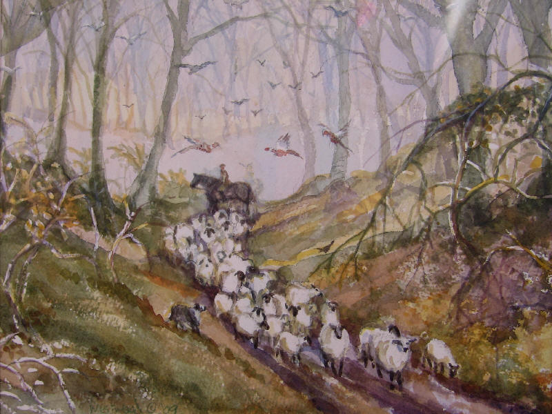 English watercolor sheep landscape