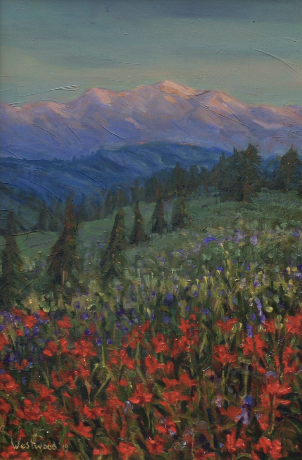 mountains oil wildflowers