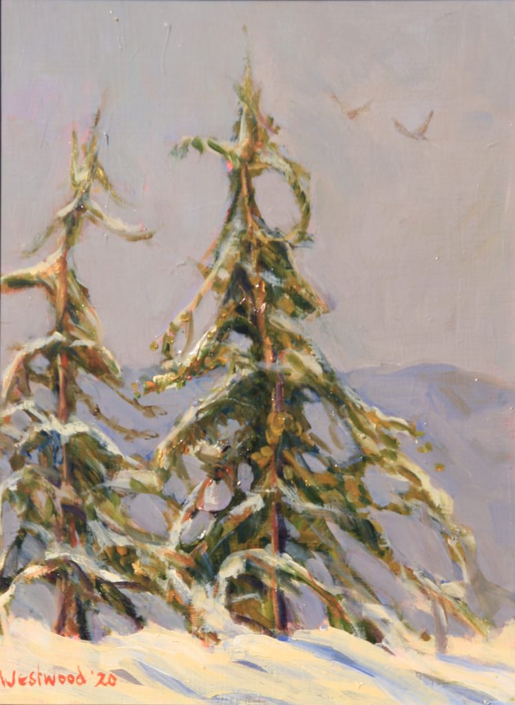 Winter snow mountains pine trees hawks landscape